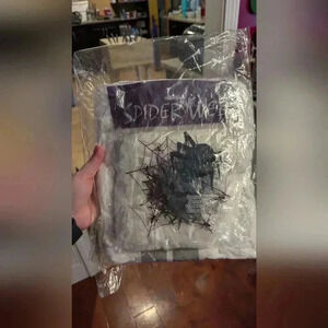 Spider Web Halloween Decoration (New)